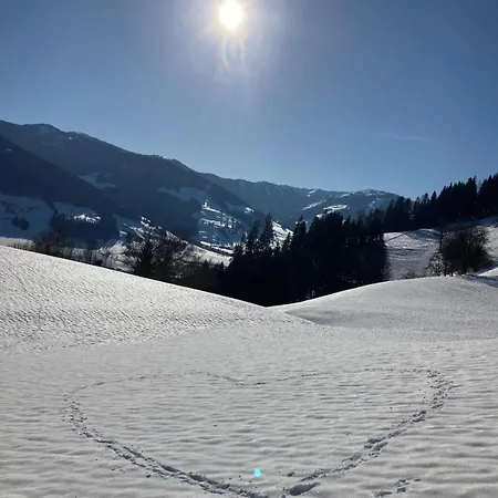 Daire Lettlhof Leogang Ullach