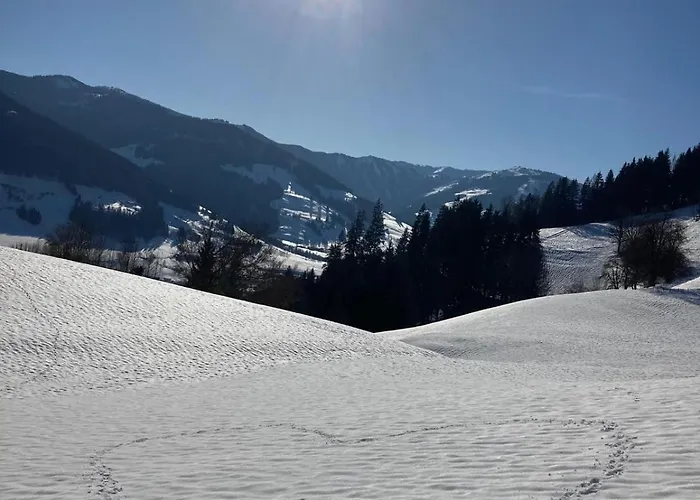 Apartment Lettlhof Leogang Ullach
